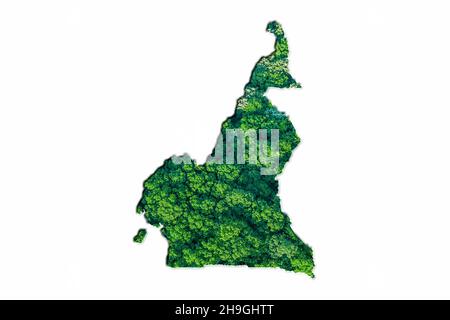 Carte de la Forêt verte du Cameroun, sur fond blanc Banque D'Images