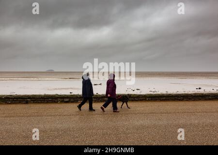 Weston-Super-Mare, Somerset, Royaume-Uni.7 décembre 2021.Deux personnes marchent leur chien le long de la promenade à Weston-Super-Mare dans le Somerset avant que Storm Barra ne frappe le sud-ouest du Royaume-Uni.Crédit : Peter Lophan/Alay Live News Banque D'Images