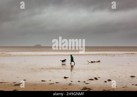 Weston-Super-Mare, Somerset, Royaume-Uni.7 décembre 2021.Une femme marche son chien le long de la plage à Weston-Super-Mare dans le Somerset avant que Storm Barra n'atteigne le sud-ouest du Royaume-Uni.Crédit : Peter Lophan/Alay Live News Banque D'Images