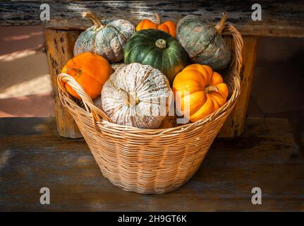 différents types de citrouilles dans le panier de paille sur fond de bois Banque D'Images