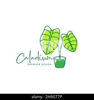 abstrait plante de jardin caladium logo symbole icône vecteur graphique design illustration idée créative Illustration de Vecteur