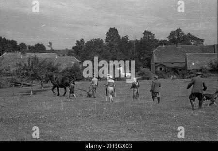 Zalipie, 1948-07.Wieœ, W której W 1945 r. osiedli³a siê czêœæ Platerówek, tzn.¿o³nierek 1 Samodzielnego Batalionu Kobiecego im.Emilii Plater 1 Dywizji Piechoty im.Koœciuszki.Do 1947 r. wieœ nosi³a nazwê Platerowo. bb PAP Dok³adny dzieñ wydarzenia nieustalony.Zalipie, juillet 1948.Le village dans lequel s'installent un certain nombre de femmes soldats du 1er Bataillon indépendant féminin de l'Emilia Plater de la 1re Division d'infanterie de Tadeusz Kosciuszko.Jusqu'en 1947, le village s'appelait Platerowo. bb PAP Banque D'Images