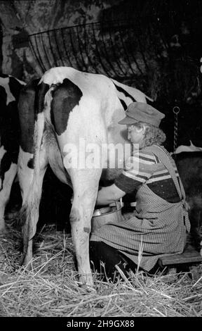 Zalipie, 1948-07.Wieœ, W której W 1945 r. osiedli³a siê czêœæ Platerówek, tzn.¿o³nierek 1 Samodzielnego Batalionu Kobiecego im.Emilii Plater 1 Dywizji Piechoty im.Koœciuszki.Do 1947 r. wieœ nosi³a nazwê Platerowo.NZ. Dojenie krowy. bb PAP Dok³adny dzieñ wydarzenia nieustalony.Zalipie, juillet 1948.Le village dans lequel s'installent un certain nombre de femmes soldats du 1er Bataillon indépendant féminin de l'Emilia Plater de la 1re Division d'infanterie de Tadeusz Kosciuszko.Jusqu'en 1947, le village s'appelait Platerowo.Photo : lait de vache BB PAP Banque D'Images