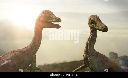 Couple de Compsognathus longipes, dinosaures de la fin de la période jurassique Banque D'Images