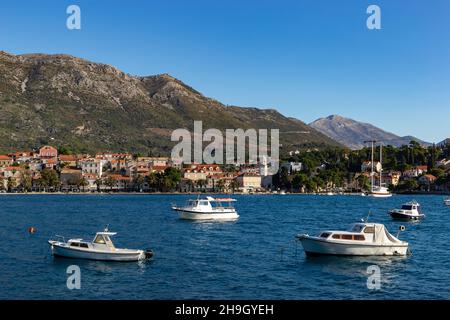 Yachts dans le port de Cavtat à Dalmatie, Croatie Banque D'Images