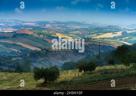 Paysage rural près de Monterubbiano et Ripatransone, entre les provinces de Fermo et Ascoli Piceno, Marche, Italie, au printemps Banque D'Images