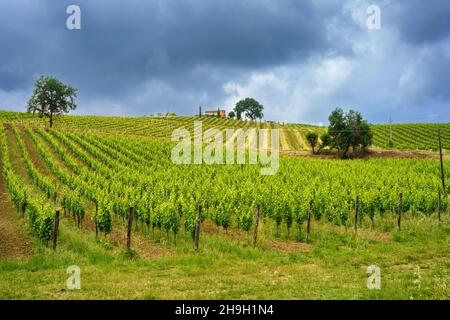 Paysage rural près de Monterubbiano et Ripatransone, entre les provinces de Fermo et Ascoli Piceno, Marche, Italie, au printemps Banque D'Images