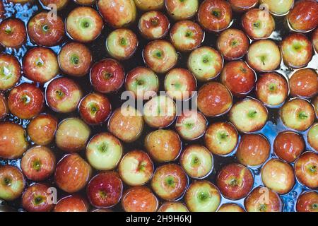 Des pommes propres et fraîches sur le tapis du convoyeur dans l'usine de transformation des aliments.Fruits sains, production alimentaire et concept automatisé de l'industrie alimentaire. Banque D'Images