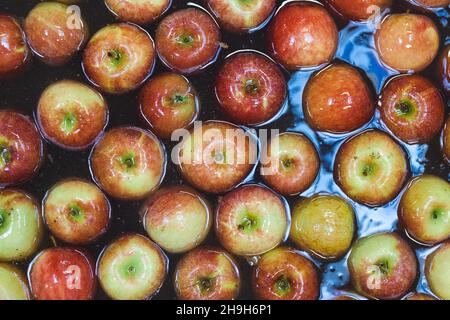 Des pommes propres et fraîches sur le tapis du convoyeur dans l'usine de transformation des aliments.Fruits sains, production alimentaire et concept automatisé de l'industrie alimentaire. Banque D'Images