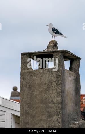 STAVANGER, NORVÈGE - 2020 JUILLET 04.Cheminée en pierre de sable avec mouette sur le dessus. Banque D'Images