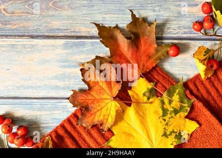 Composition d'automne, écharpe chaude de couleur terre cuite, feuilles mortes, baies d'aubépine sur fond d'une table en bois bleu.Pose à plat. Banque D'Images