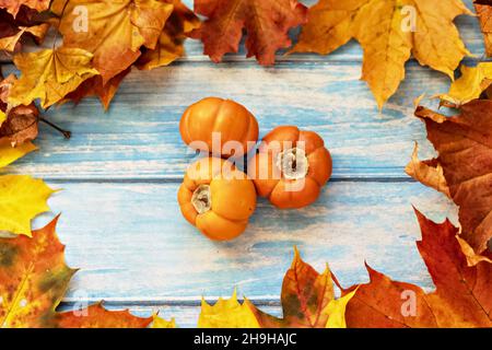Automne encore la vie .Cadre de feuilles d'érable et de citrouilles d'orange au centre sur fond bleu en bois.Récolte d'automne Banque D'Images