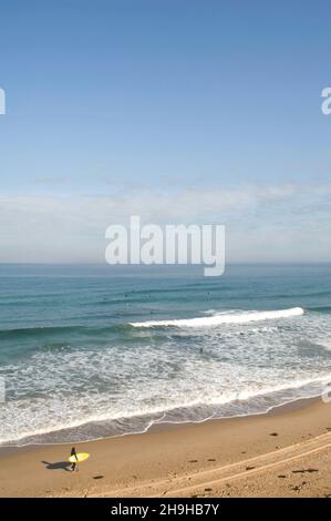 Un surfeur marche le long de la plage d'Ocean Grove à Victoria.Australie Banque D'Images