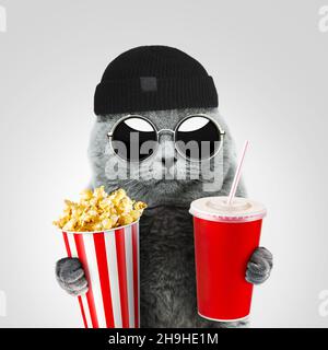 Joli chat hipster sympa et sympa avec des lunettes de soleil rondes vintage et un chapeau tient du pop-corn et une boisson dans le cinéma.Concept REST Banque D'Images