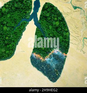 Les arbres de la forêt verte sont en feu, vue de dessus.Feu de forêt, vue aérienne.Poumons verts de la planète Terre.Concept de protection de la nature et de la forêt tropicale, nature br Banque D'Images