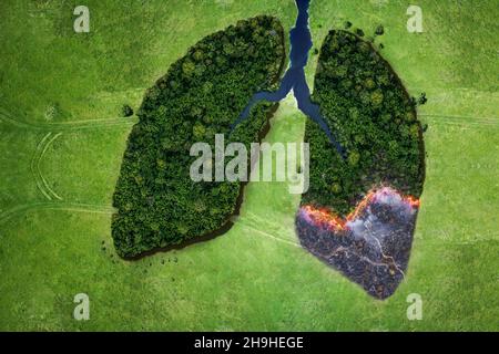 Vue aérienne de dessus arbre de forêt de désastre écologique des incendies.Poumons des arbres forestiers et concept de feu.Écologie et environnement idée créative.Respiration o Banque D'Images