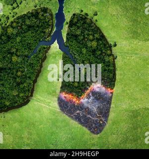 Forêt et feu sur un champ vert, vue de dessus.Arbres sous forme de poumons, la santé de la planète terre.Concept de pollution de l'environnement.Poumons fumeurs Banque D'Images