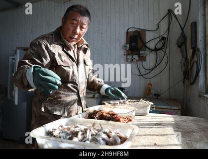 (211207) -- SHIJIAZHUANG, 7 décembre 2021 (Xinhua) -- Tian Zhiwei, un protecteur d'oiseaux sauvages, prépare de la nourriture pour les oiseaux à la station de sauvetage de Daqinghe dans le comté de Laoing, dans la province de Hebei, au nord de la Chine, 7 décembre 2021.Chaque année, des millions d'oiseaux migrateurs affluent dans le comté de Laoing pendant leur migration.Tian Zhiwei, 52 ans, se consacre aux activités de protection et de sauvetage des oiseaux sauvages depuis 2004.En 2011, il établit une station de sauvetage dans le comté de Laoting.Avec une superficie de 35 um (environ 5.8 acres), la station de sauvetage a sauvé, adopté et libéré plus de 100 espèces et des dizaines de milliers de bir sauvages Banque D'Images