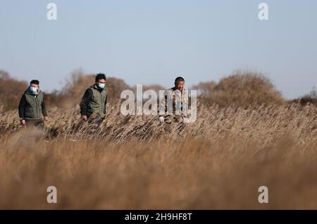 (211207) -- SHIJIAZHUANG, 7 décembre 2021 (Xinhua) -- Tian Zhiwei (1er R), un protecteur d'oiseaux sauvages, avec des volontaires, patrouillent dans la zone humide de Daqinghe dans le comté de Laoing, dans la province de Hebei, au nord de la Chine, le 7 décembre 2021.Chaque année, des millions d'oiseaux migrateurs affluent dans le comté de Laoing pendant leur migration.Tian Zhiwei, 52 ans, se consacre aux activités de protection et de sauvetage des oiseaux sauvages depuis 2004.En 2011, il établit une station de sauvetage dans le comté de Laoting.Avec une superficie de 35 um (environ 5.8 acres), la station de sauvetage a sauvé, adopté et libéré plus de 100 espèces et des dizaines de milliers de bir sauvages Banque D'Images