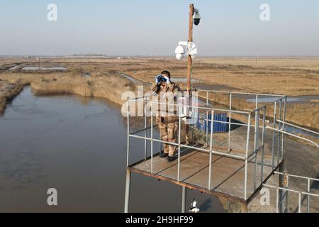 (211207) -- SHIJIAZHUANG, 7 décembre 2021 (Xinhua) -- Tian Zhiwei, un protecteur d'oiseaux sauvages, observe les oiseaux à proximité au sommet d'une tour d'observation à la station de sauvetage Daqinghe dans le comté de Laoting, dans la province de Hebei, au nord de la Chine, 7 décembre 2021.Chaque année, des millions d'oiseaux migrateurs affluent dans le comté de Laoing pendant leur migration.Tian Zhiwei, 52 ans, se consacre aux activités de protection et de sauvetage des oiseaux sauvages depuis 2004.En 2011, il établit une station de sauvetage dans le comté de Laoting.Avec une superficie de 35 um (environ 5.8 acres), la station de sauvetage a sauvé, adopté et libéré plus de 100 espèces et Banque D'Images