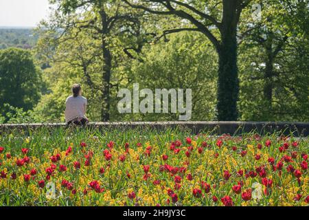 Vue sur les fleurs de Pembroke Lodge à Richmond Park, Londres.Date de la photo : jeudi 3 mai 2018.Le crédit photo devrait se lire: Richard Gray/EMPICS Banque D'Images