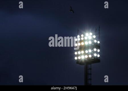 Un oiseau est vu au-dessus d'un projecteur illuminé - Norwich City v Wolverhampton Wanderers, Premier League, Carrow Road, Norwich, Royaume-Uni - 27 novembre 2021 usage éditorial uniquement - des restrictions DataCo s'appliquent Banque D'Images