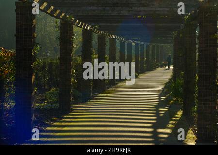 Kew Gardens à Londres le premier jour d'un confinement de quatre semaines au Royaume-Uni.Date de la photo : lundi 26 octobre 2020.Le crédit photo devrait se lire: Richard Gray/EMPICS Banque D'Images