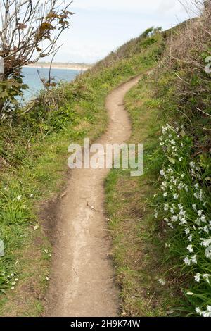 Vue sur le sentier côtier près de St Ives à Cornwall, Royaume-Uni.Date de la photo : le mercredi 19 mai 2021.Le crédit photo devrait se lire: Richard Gray/EMPICS Banque D'Images