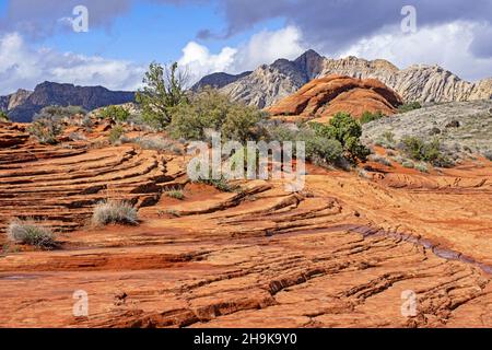 Grès Navajo superposé des montagnes rouges dans le parc national de Snow Canyon, une partie de la réserve de désert de Red Cliffs, Washington, Utah, États-Unis, États-Unis Banque D'Images