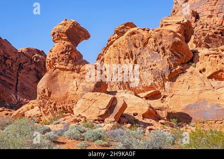 Formations rocheuses de grès rouge dans le parc national de la Vallée de feu près d'Overton, comté de Clark, Nevada, États-Unis, États-Unis Banque D'Images