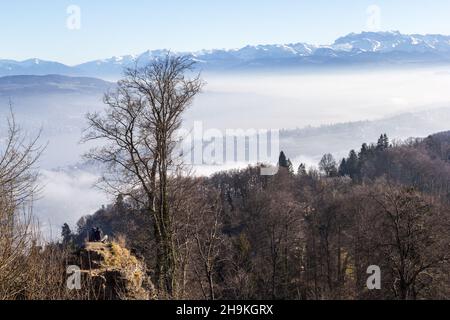 Soleil sur le brouillard matinal sur la colline d'Uetliberg à Zurich Banque D'Images