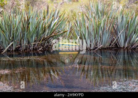 Miroir Lakes signe reflété dans l'eau Banque D'Images