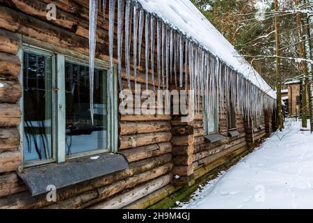 Beaucoup de grandes glaces tranchantes pendent du toit de la maison en rondins dans la forêt enneigée.La vieille cabane est couverte de glace en hiver. Banque D'Images