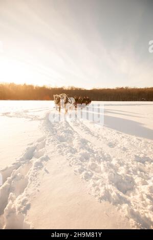 Promenade en traîneau d'hiver, Allegra Farm, East Haddam, Connecticut, États-Unis Banque D'Images