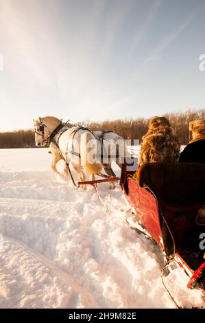 Promenade en traîneau d'hiver, Allegra Farm, East Haddam, Connecticut, États-Unis Banque D'Images