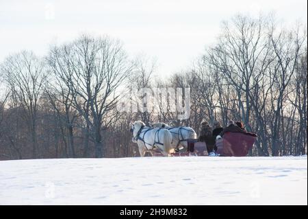 Promenade en traîneau d'hiver, Allegra Farm, East Haddam, Connecticut, États-Unis Banque D'Images