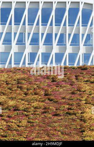 Viborg, Danemark - 27 août 2015 : détails et façade de l'hôtel de ville de Viborg au Danemark Banque D'Images