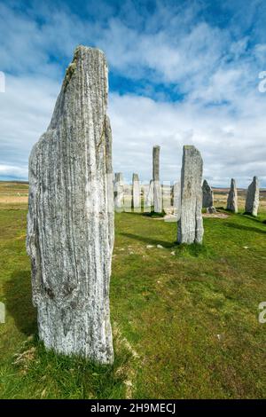 Anciennes pierres debout calanais en mai, Callanish, île de Lewis, Hébrides extérieures, Écosse,ROYAUME-UNI Banque D'Images