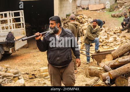 Gaza, Palestine.07ème décembre 2021.Raed Abd El-Aal vu avec ses ouvriers.Raed Abd El-Aal 52 ans, travaille comme bûcheron depuis trente ans dans la ville de Gaza avec ses fils;Tamer, 25 ans et Soliman, 12 ans, peut couper 150 tonnes d'arbres en 24 heures seulement, il a également une équipe qui l'aide à transférer et à recueillir les arbres des champs de la bande de Gaza.Crédit : SOPA Images Limited/Alamy Live News Banque D'Images