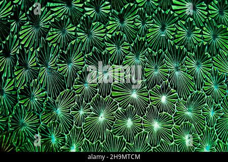 Verre gravé antique, détail de la porte de l'église Banque D'Images