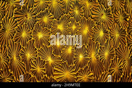 Verre gravé antique, détail de la porte de l'église Banque D'Images