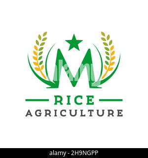 design de la lettre m logo de l'agriculture de riz Banque D'Images