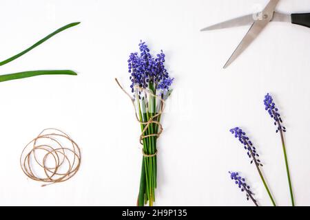 Les mains des femmes collectent un bouquet de muscari bleu en cadeau. Élagage de fleurs. Florist, petite entreprise locale, fleuriste. Style écologique. Fleuriste au travail Banque D'Images