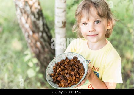 happy kid boy mains tenir la plaque avec des morceaux de chaga nettoyés et tranchés. foraged champignon de chaga champignon de bouleau sauvage il est utilisé dans alternative medici Banque D'Images