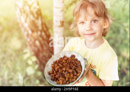 happy kid boy mains tenir la plaque avec des morceaux de chaga nettoyés et tranchés. foraged champignon de chaga champignon de bouleau sauvage il est utilisé dans alternative medici Banque D'Images