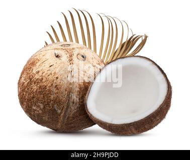 fruits de coco isolés sur fond blanc Banque D'Images