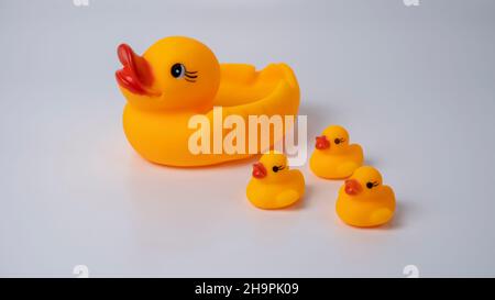 Le canard maternel et le caneton sont des oiseaux très affectueux.Ils sont très proches de leurs bébés et jouent avec eux en formant plusieurs formations. Banque D'Images