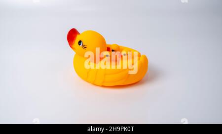 Le canard maternel et le caneton sont des oiseaux très affectueux.Ils sont très proches de leurs bébés et jouent avec eux en formant plusieurs formations. Banque D'Images