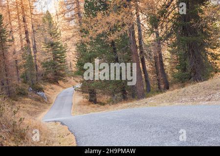 Une route secondaire le long des bois à l'automne Banque D'Images