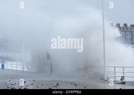 Aberystwyth, Ceredigion, pays de Galles, Royaume-Uni.08th décembre 2021 Royaume-Uni Météo: Vents forts de la tempête Barra et des vagues côtières, continuez à fouler la promenade le long de la côte ouest d'Aberystwyth ce matin.© Ian Jones/Alamy Live News Banque D'Images
